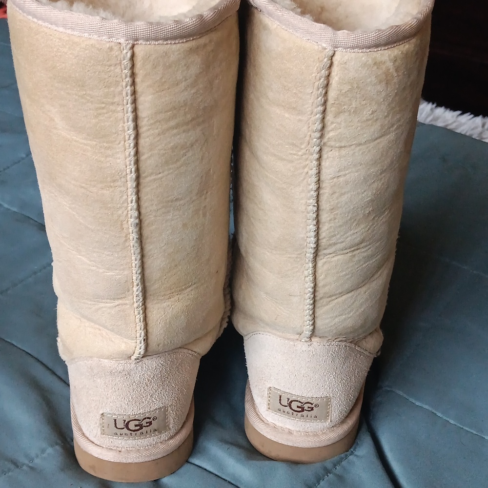 Ugg cozy Shearling-Lined Boots fits size six